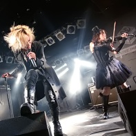 Rose Noire's music ranges from very classical music-inspired compositions to modern dark wave and industrial songs.