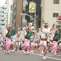 A large group of Awa Odori dancers approaches.
