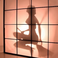 A moving shadowgraph with a nude women riding on a broom.