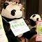 Stuffed panda pitching bamboo extract medicine