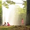 Yoyogi park tranquility
