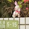 Stuffed pink bunny standing on a wall in Daita